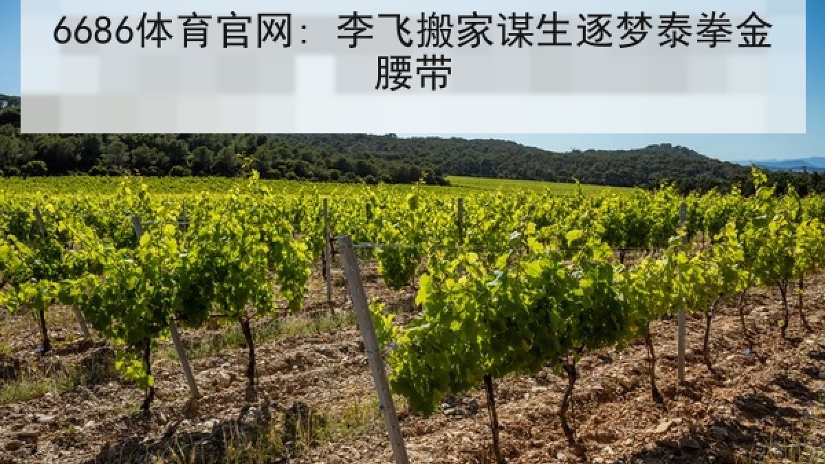 6686体育官网: 李飞搬家谋生逐梦泰拳金腰带