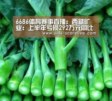 6686体育赛事直播:西藏矿业:上半年亏损292万元同比上涨92.16% 公司净利有所改善(图3) 6686体育赛事直播