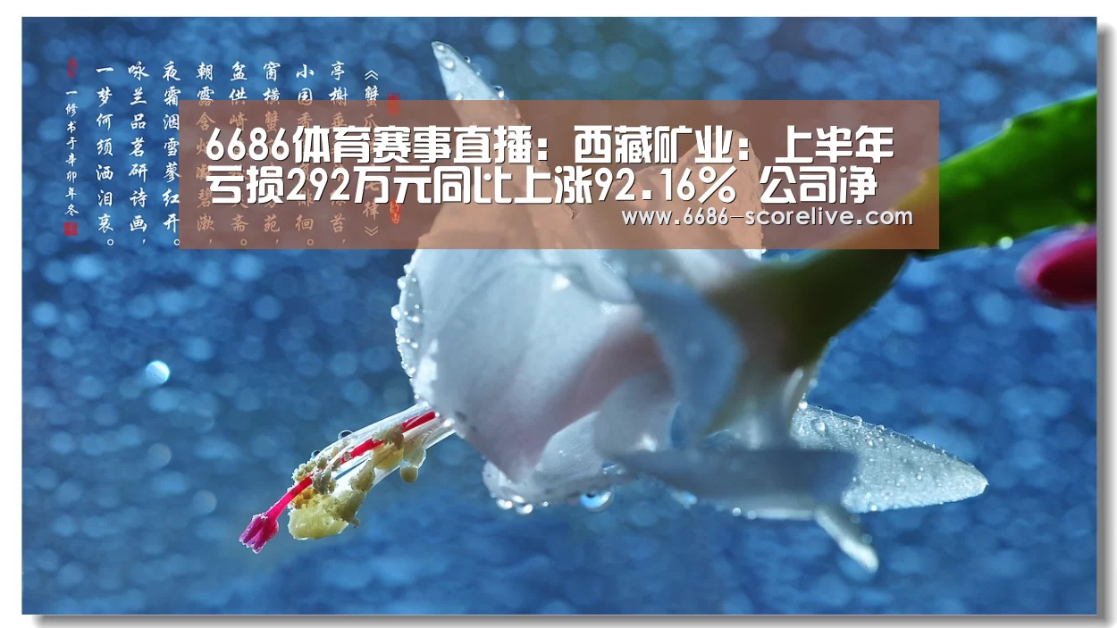 6686体育赛事直播:西藏矿业:上半年亏损292万元同比上涨92.16% 公司净利有所改善(图4) 6686电竞直播