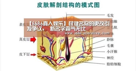 6686体育赛事直播