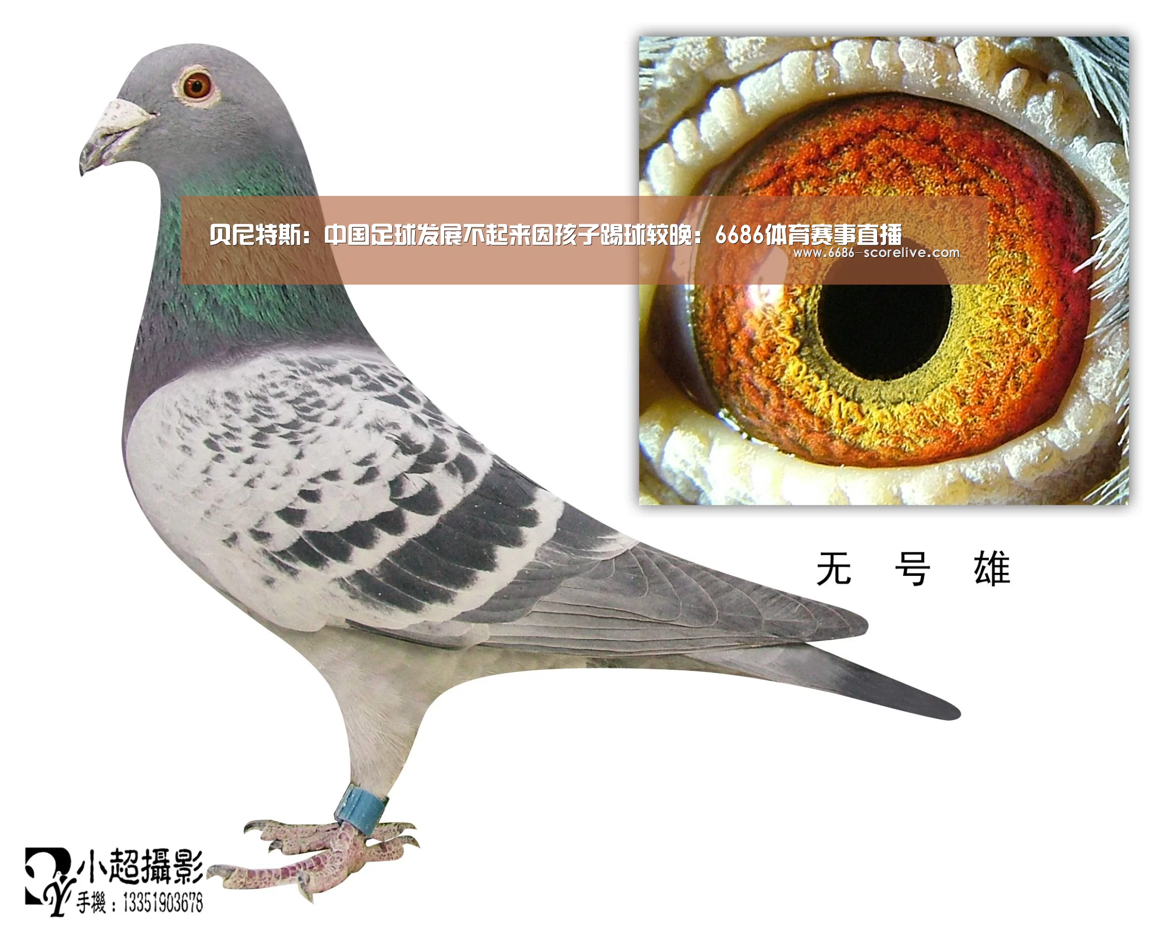 6686真人娱乐