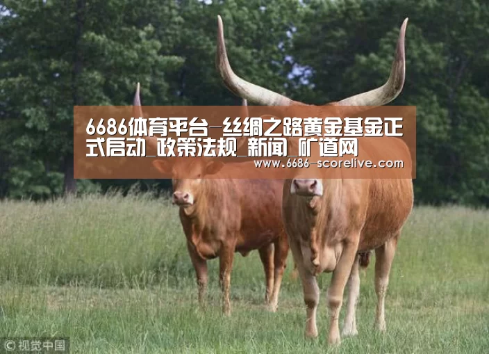 6686真人娱乐